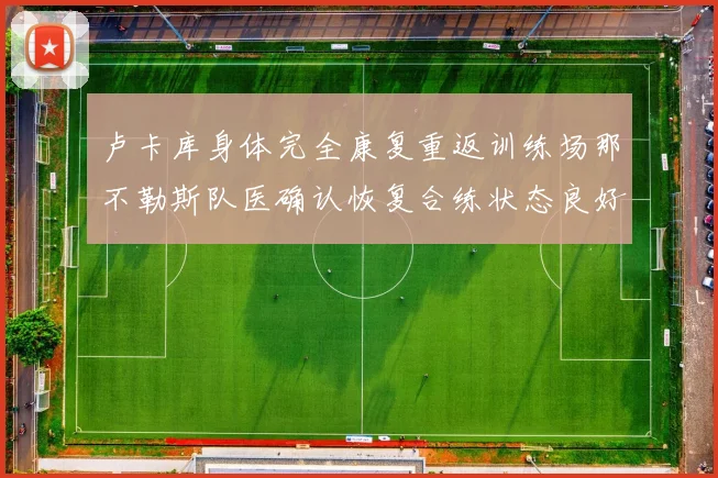 卢卡库身体完全康复重返训练场那不勒斯队医确认恢复合练状态良好