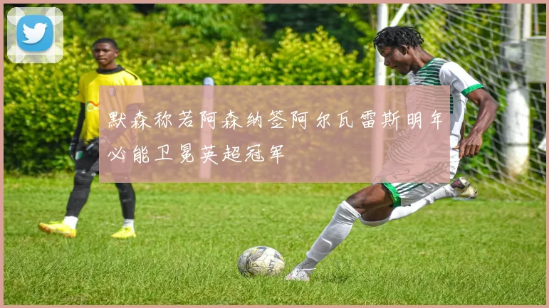 默森称若阿森纳签阿尔瓦雷斯明年必能卫冕英超冠军